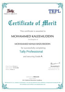 tally professional